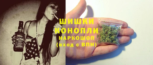 ПСИЛОЦИБИНОВЫЕ ГРИБЫ Осташков