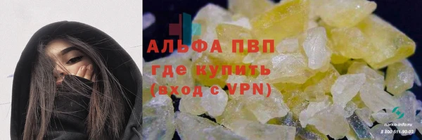 ПСИЛОЦИБИНОВЫЕ ГРИБЫ Осташков