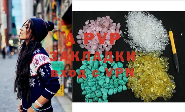 ПСИЛОЦИБИНОВЫЕ ГРИБЫ Осташков