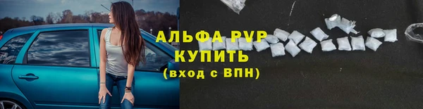 сатива Ессентукская