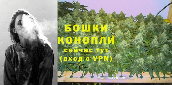 ПСИЛОЦИБИНОВЫЕ ГРИБЫ Осташков
