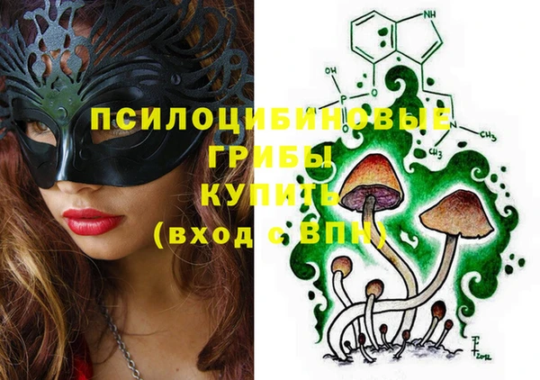 ПСИЛОЦИБИНОВЫЕ ГРИБЫ Осташков