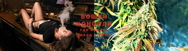 ПСИЛОЦИБИНОВЫЕ ГРИБЫ Осташков